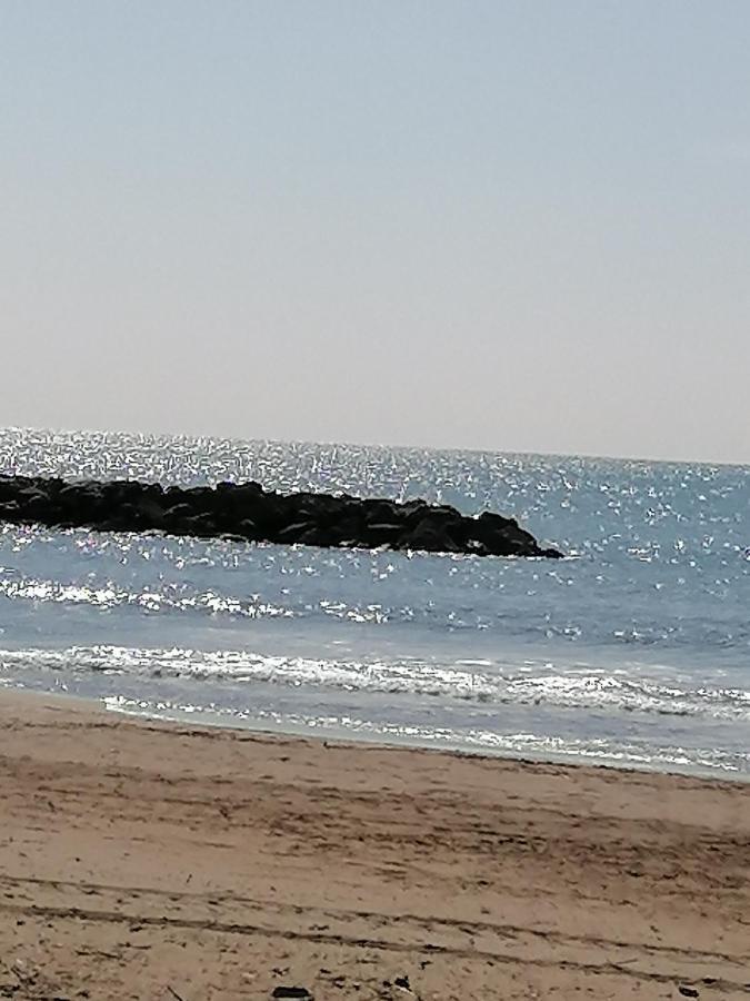 Studio Cabine Valras Plage 300M De La Mer Екстериор снимка